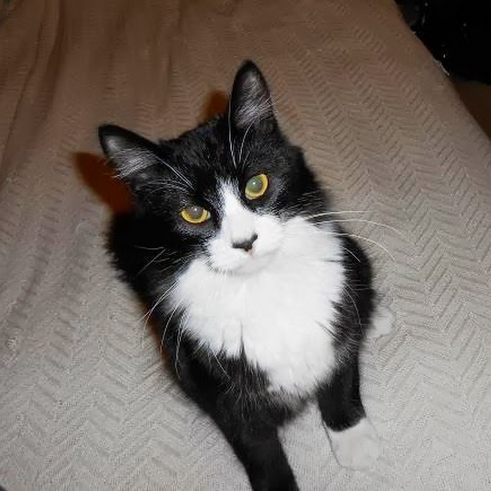 Meet your Posher, Sherry